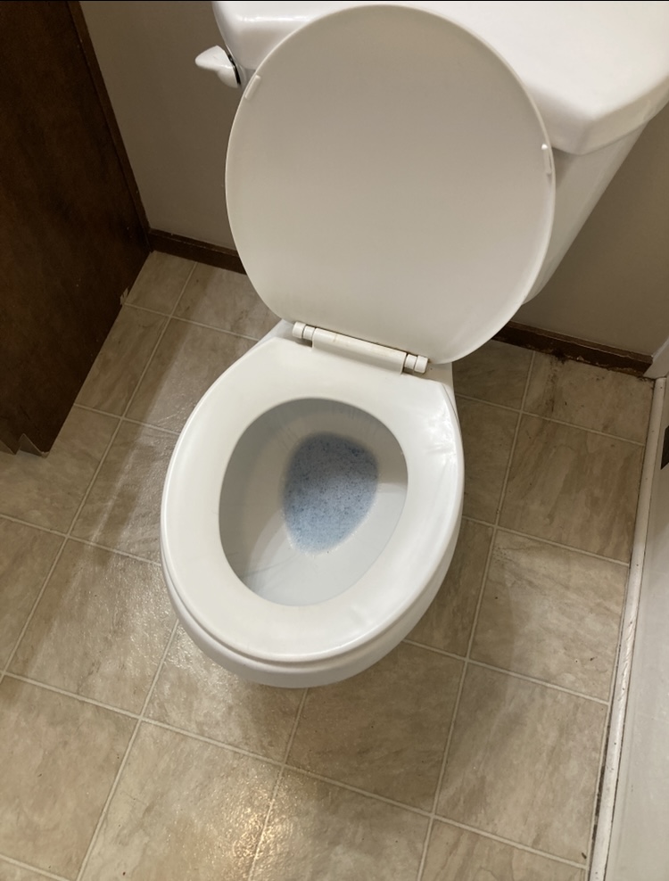 Toilet inside after