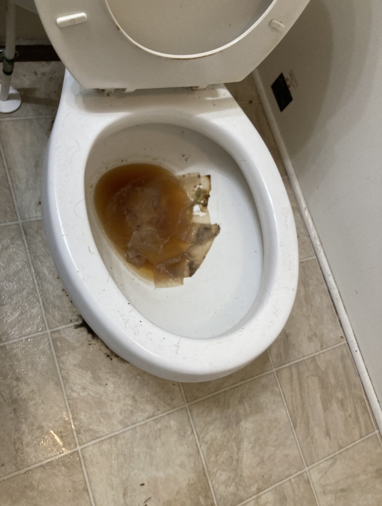 Toilet inside before