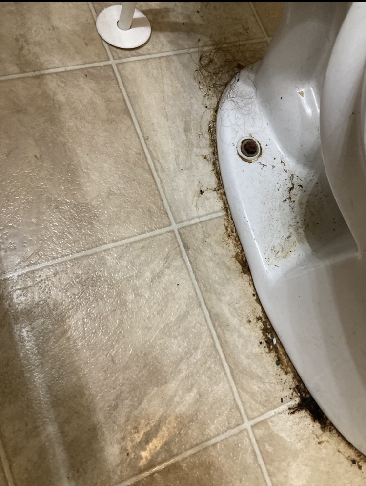 Toilet outside before